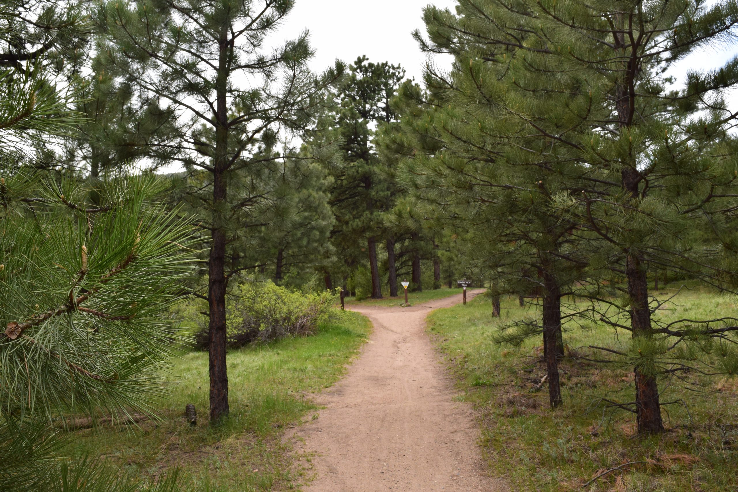 Evergreen, CO 05/31/2017