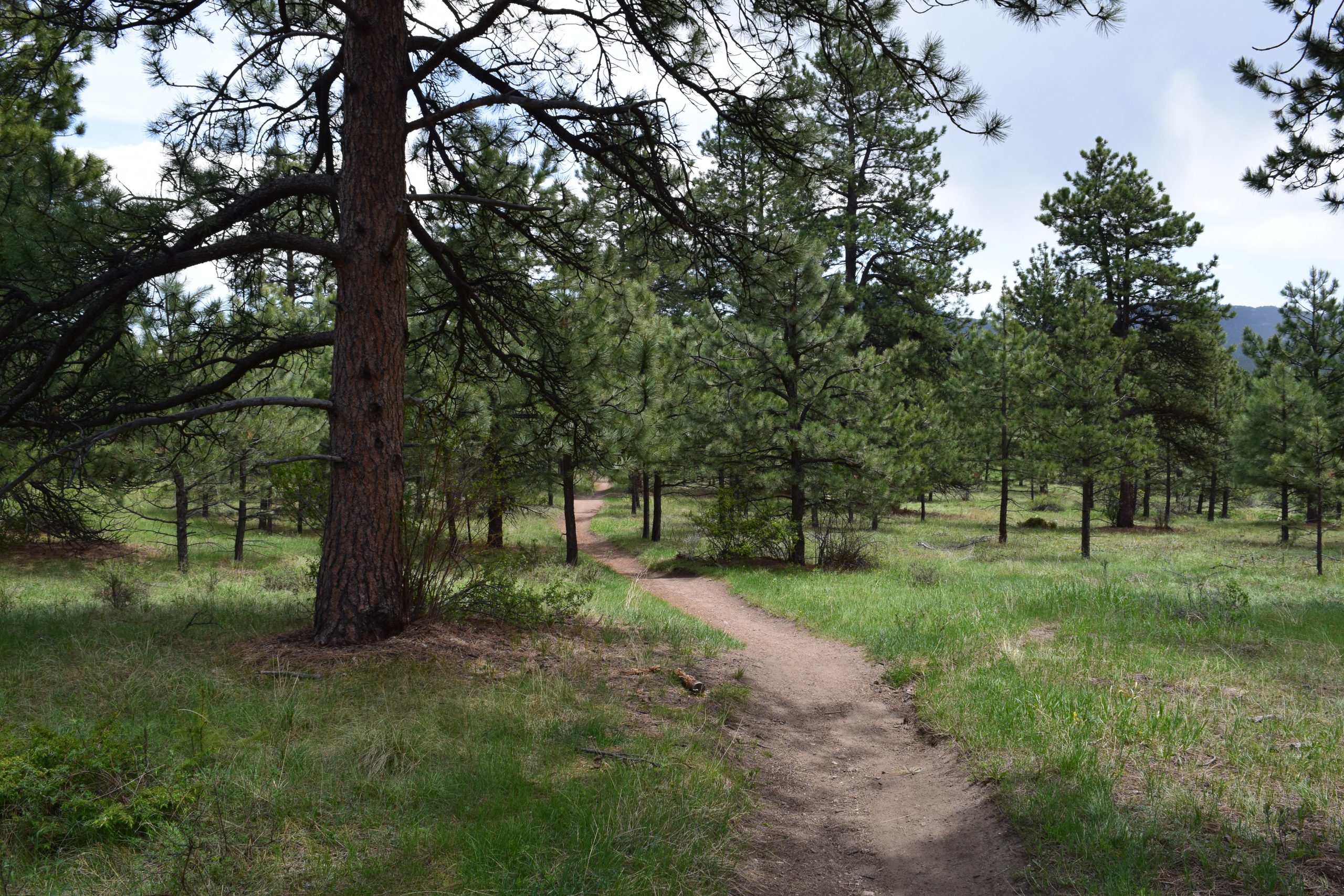 Evergreen, CO 05/31/2017