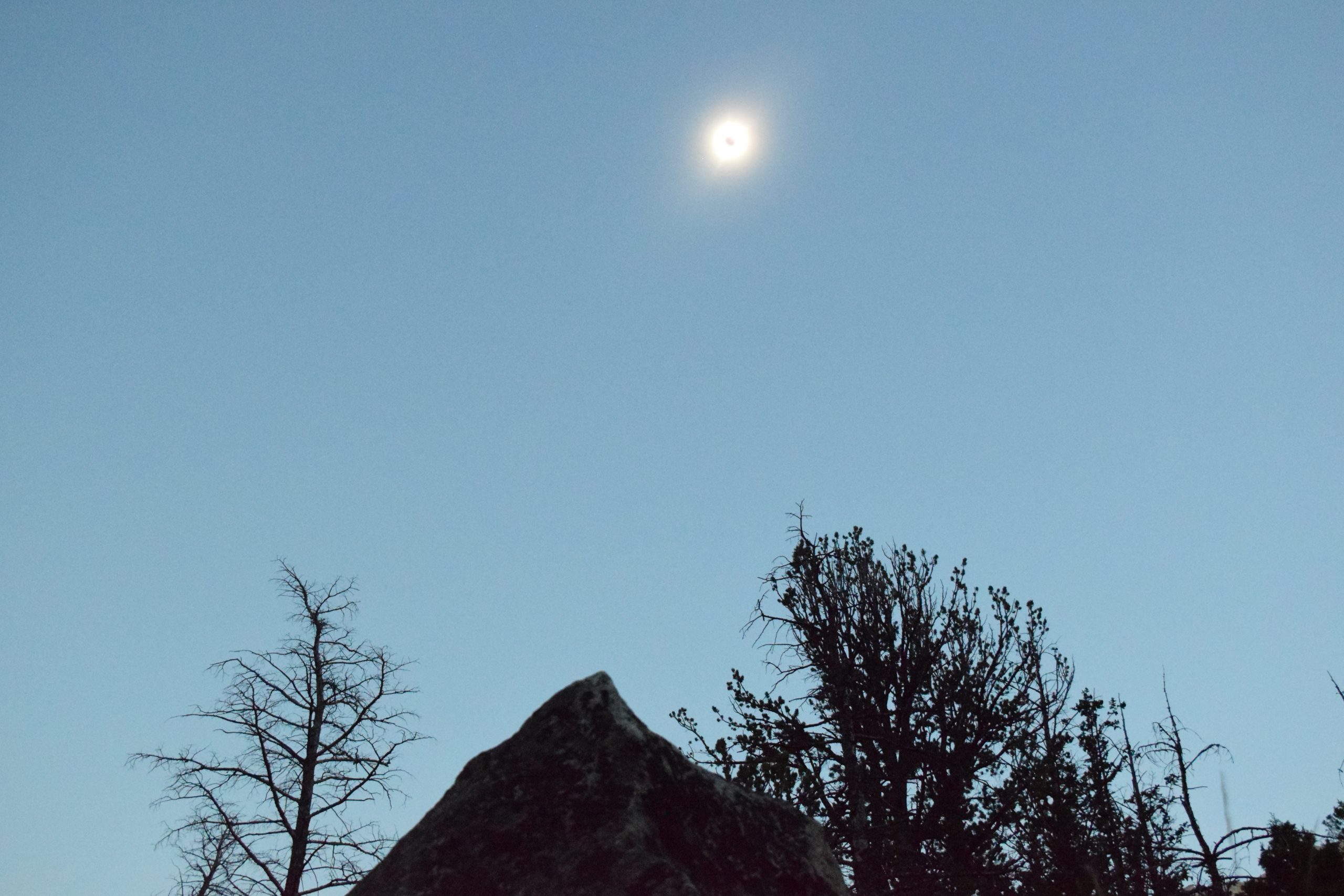 Whiskey Mountain, WY 08/20/2017