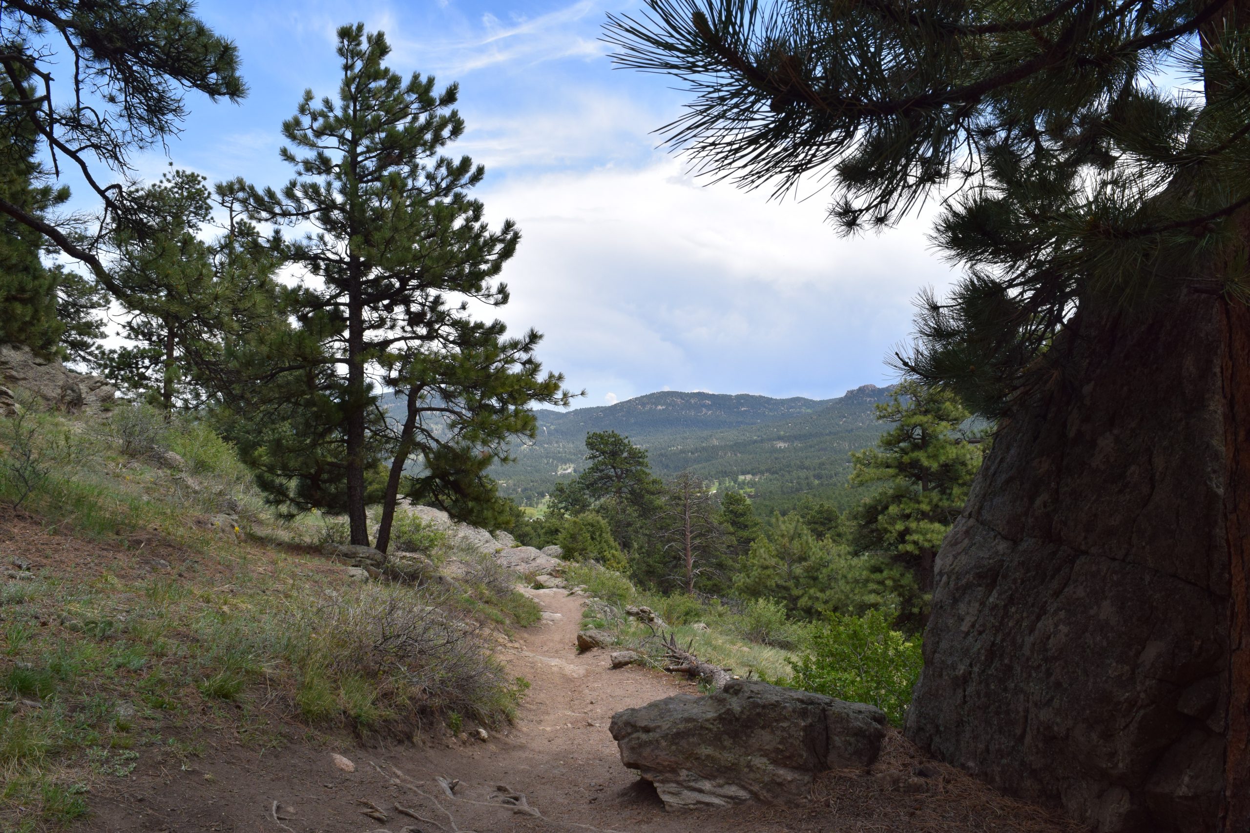 Evergreen, CO 05/31/2017