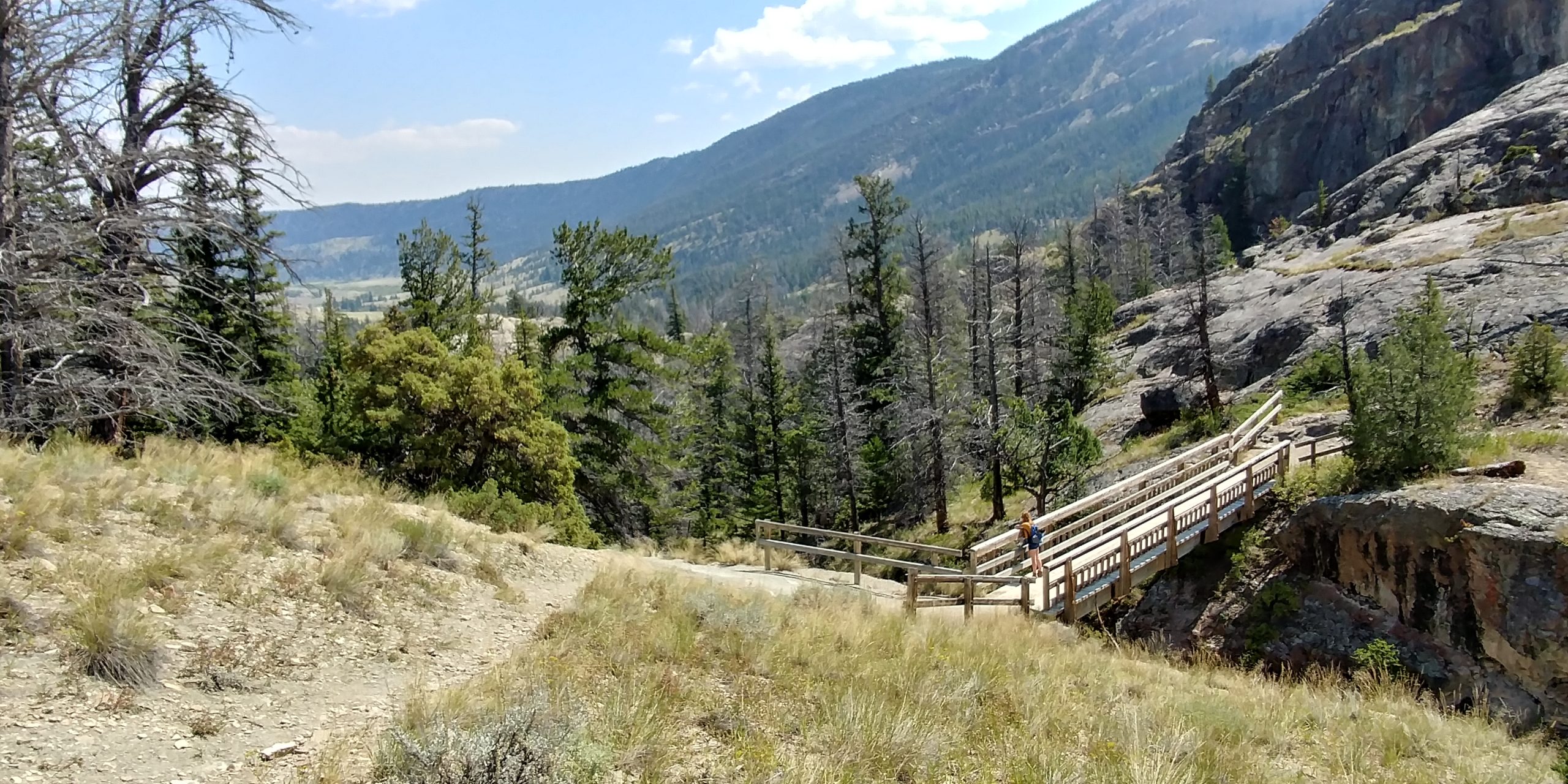 Whiskey Mountain, WY 08/20/2017